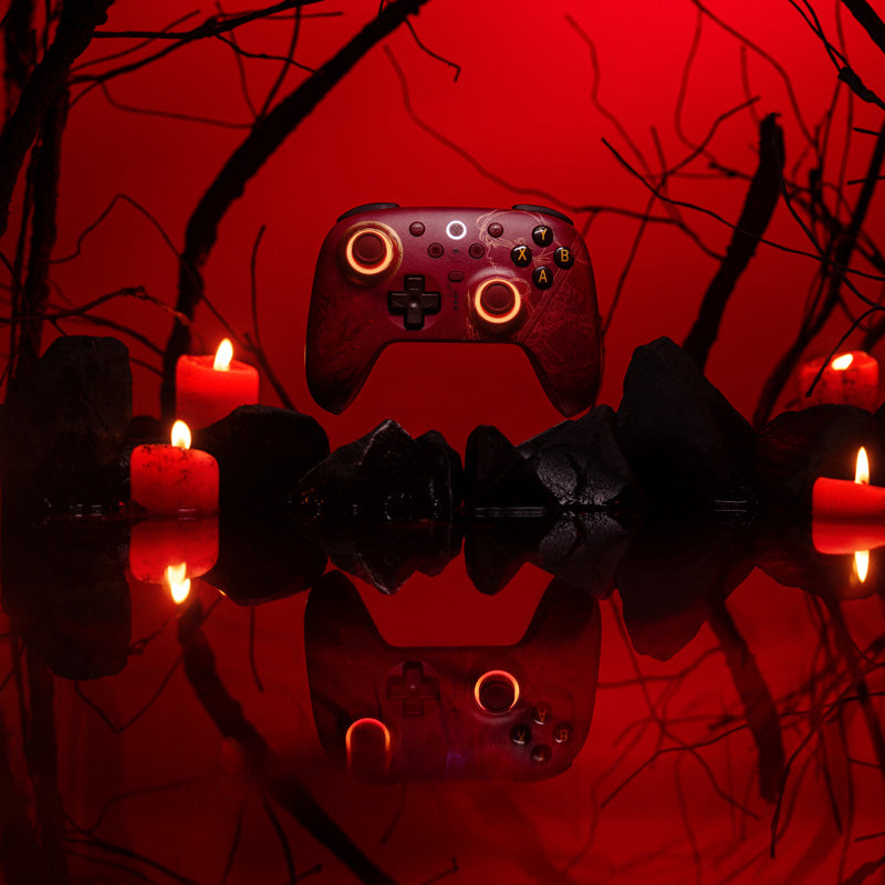 8BitDo Ultimate 2 Wireless Controller - WUCHANG: Fallen Feathers image 4