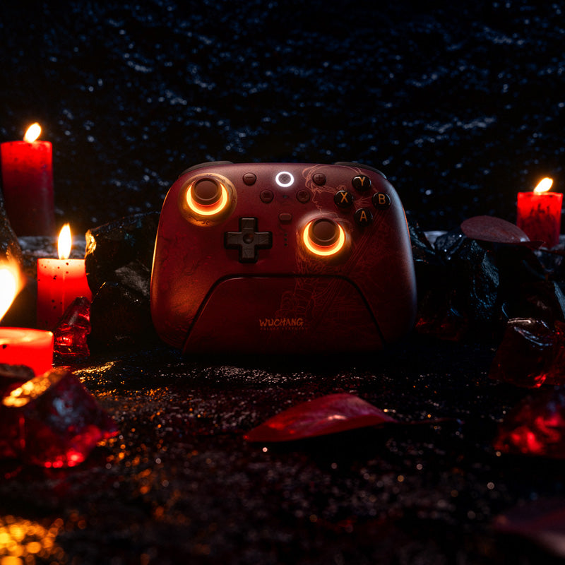 8BitDo Ultimate 2 Wireless Controller - WUCHANG: Fallen Feathers image 7