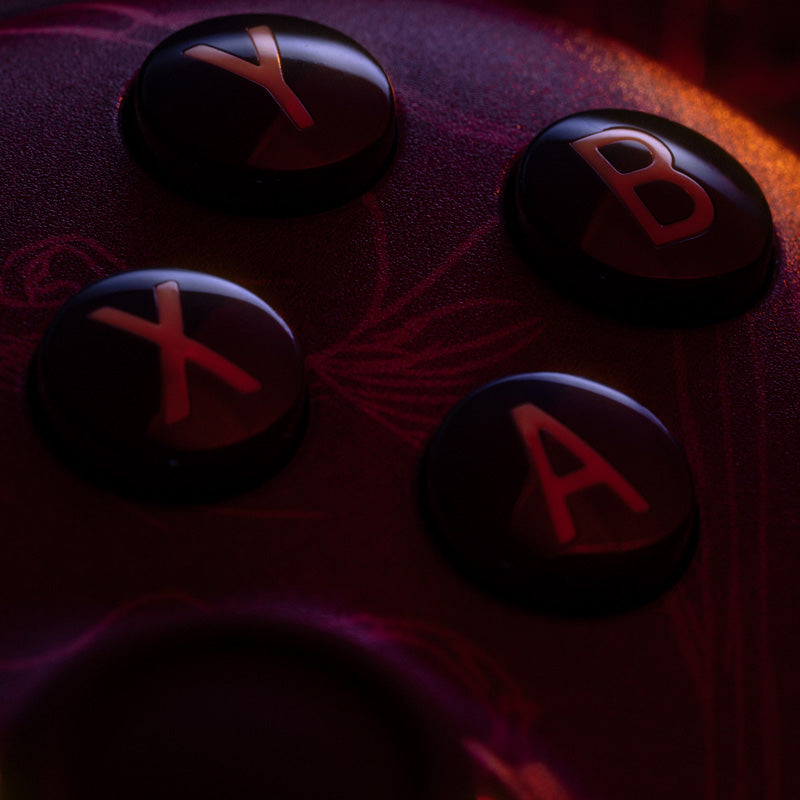 8BitDo Ultimate 2 Wireless Controller - WUCHANG: Fallen Feathers image 11